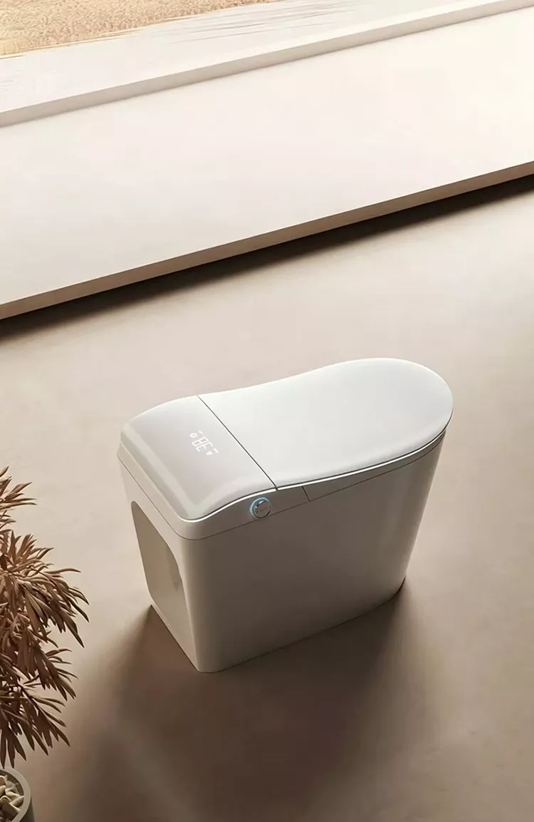 Smart Toilet With Built-In Water Filter And Foot-Activated Flushing